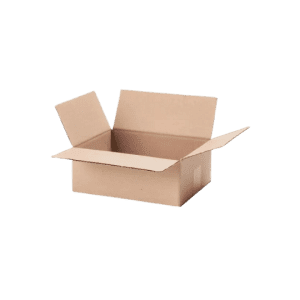 Cutie Carton 300X200X100 mm CO3