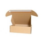 Cutie Carton Autoadeziva 350x250x50 mm