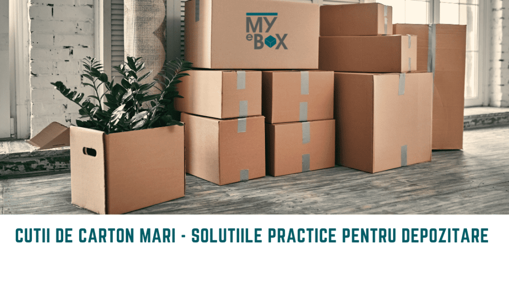 Cutii de carton mari SoluTiile Practice pentru Depozitare