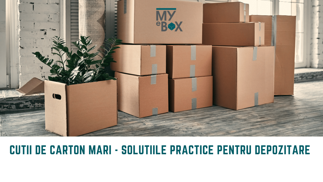 Cutii de carton mari SoluTiile Practice pentru Depozitare