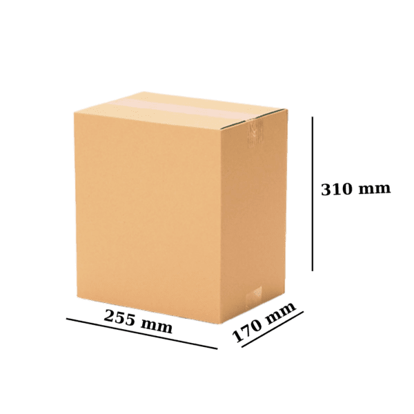 Cutie Carton 255X170x310 mm CO3