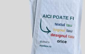 Plicuri Personalizate cu LOGO (1080 x 1350 px)