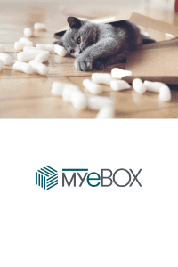 10 motive sa folosesti Fulgi Umplutura Biodegradabili Nu sunt toxici