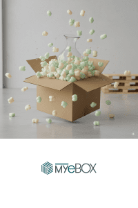 Fugi de umplutură biodegradabili protejând o vază fragilă într o cutie de carton